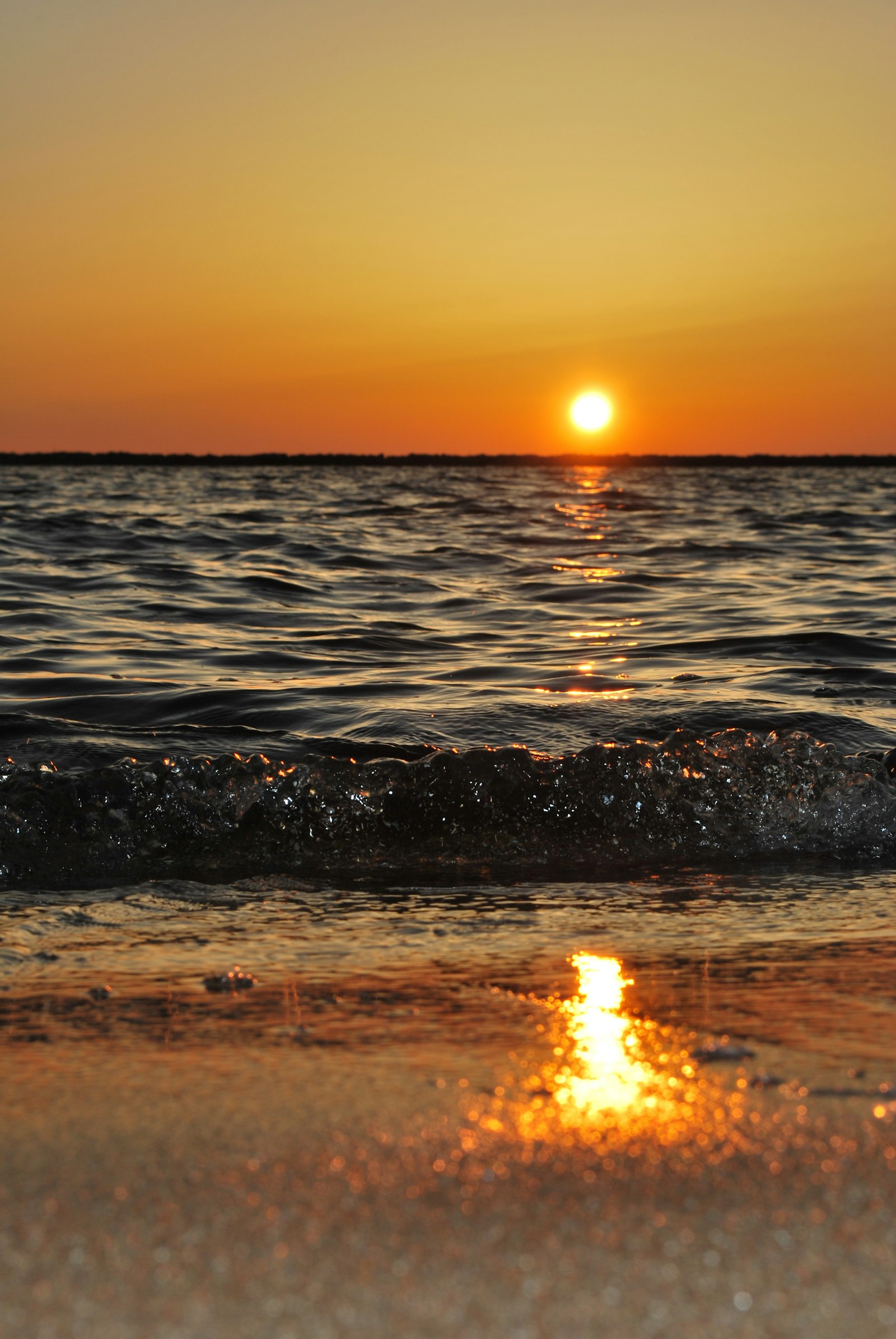 Ocean sunset — the horizons we're working to protect